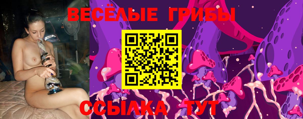 Новочебоксарск  где можно купить наркотик  Псилоцибиновые грибы прущие грибы  Вход с VPN  Псилоцибиновые грибы Magic Shrooms 